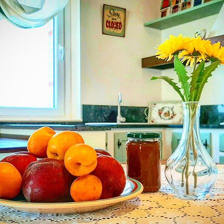 Bio Agriturismo Mare In Campagna Campofilone 외부 사진