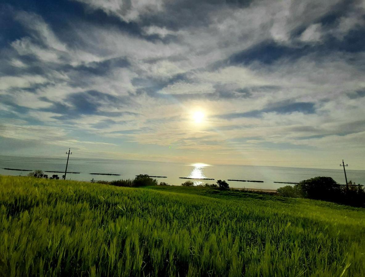 Bio Agriturismo Mare In Campagna Campofilone 외부 사진