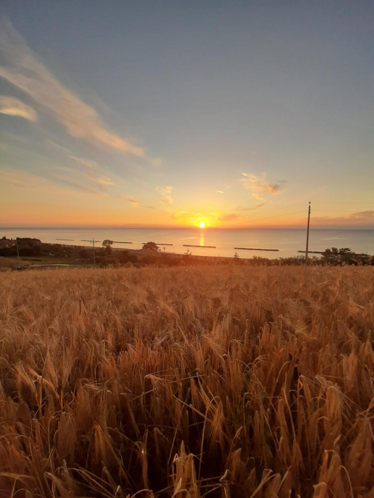Bio Agriturismo Mare In Campagna Campofilone 외부 사진