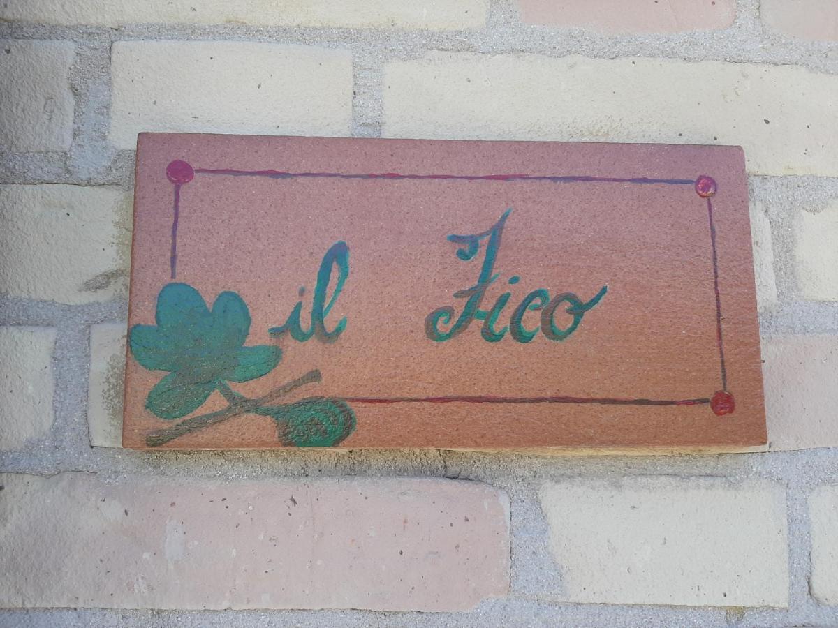 Bio Agriturismo Mare In Campagna Campofilone 외부 사진