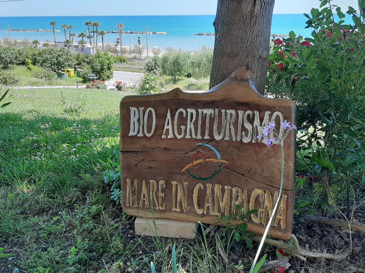 Bio Agriturismo Mare In Campagna Campofilone 외부 사진