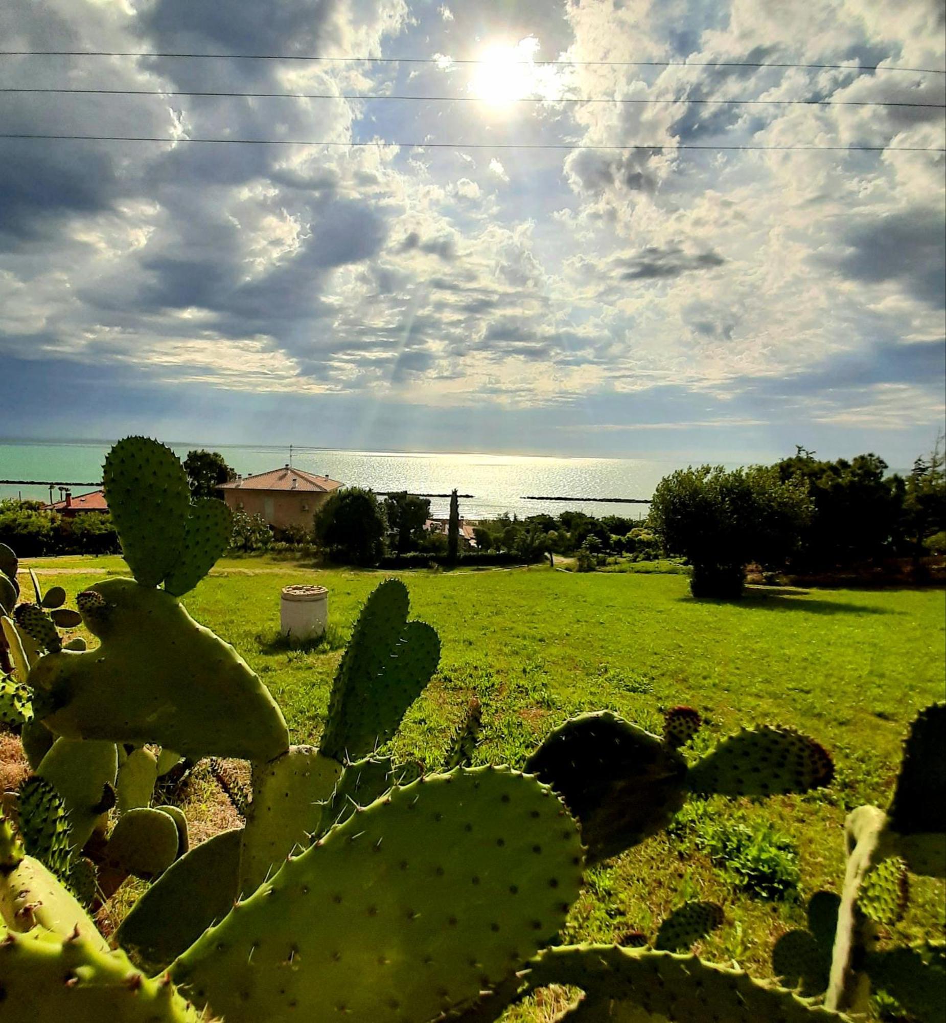 Bio Agriturismo Mare In Campagna Campofilone 외부 사진