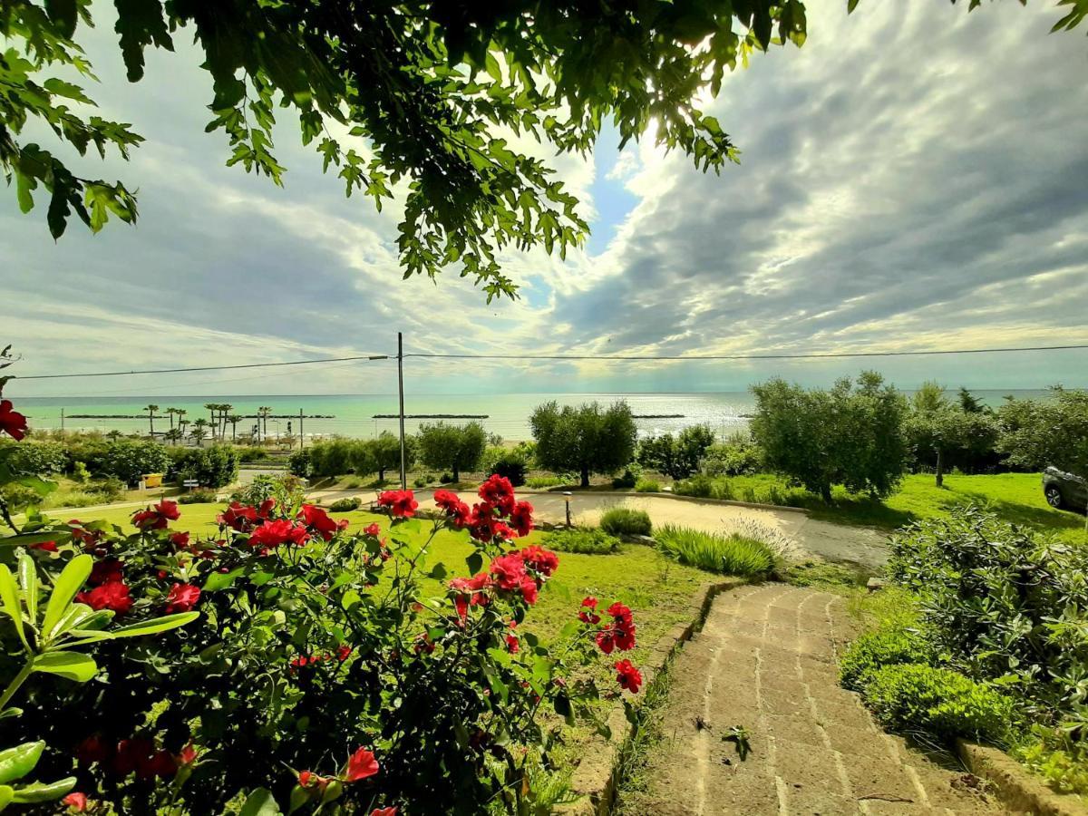 Bio Agriturismo Mare In Campagna Campofilone 외부 사진