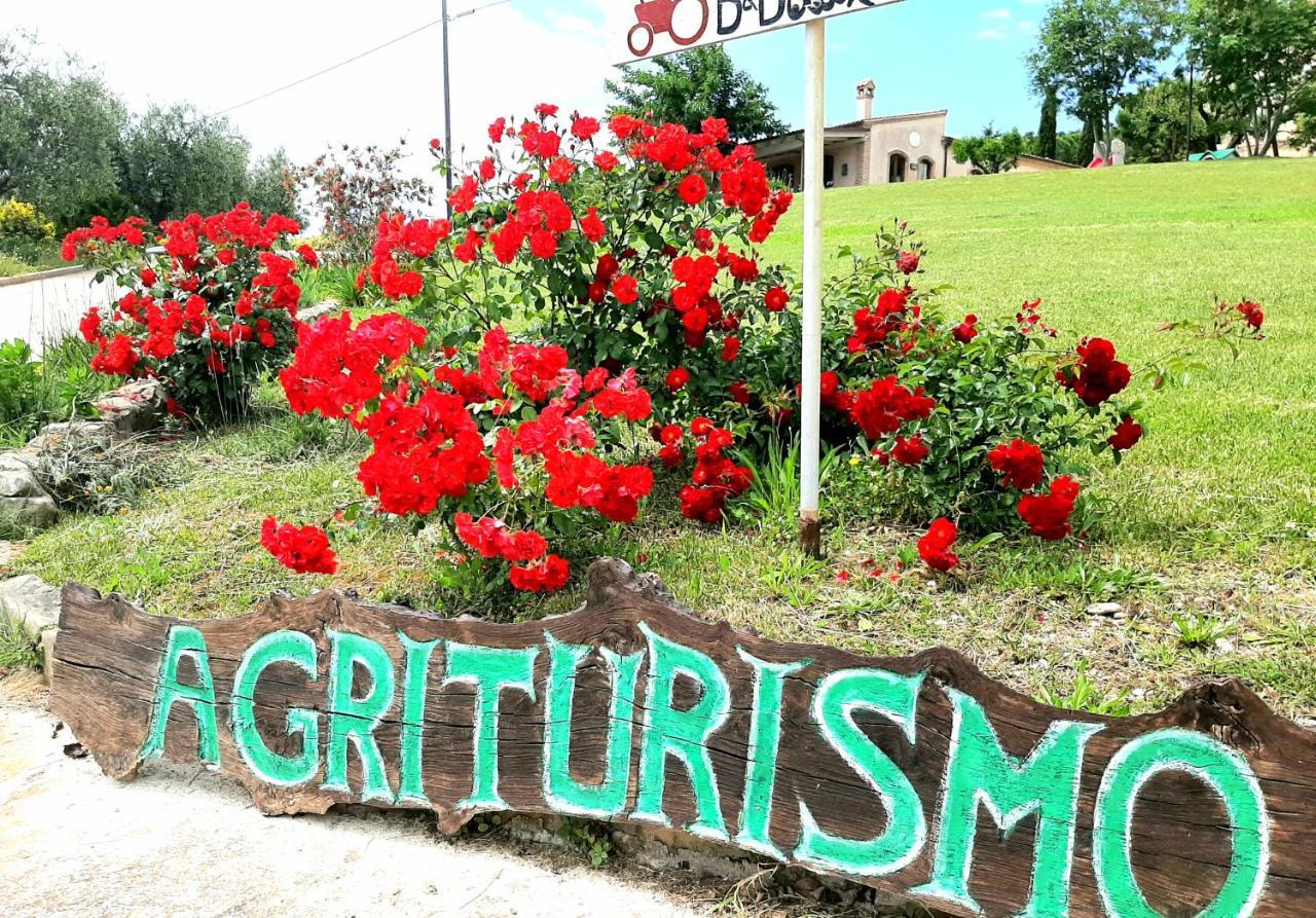 Bio Agriturismo Mare In Campagna Campofilone 외부 사진