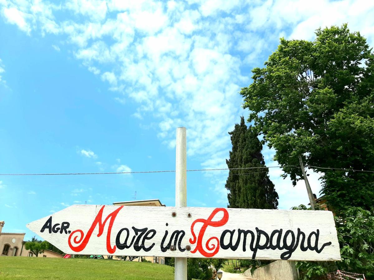 Bio Agriturismo Mare In Campagna Campofilone 외부 사진