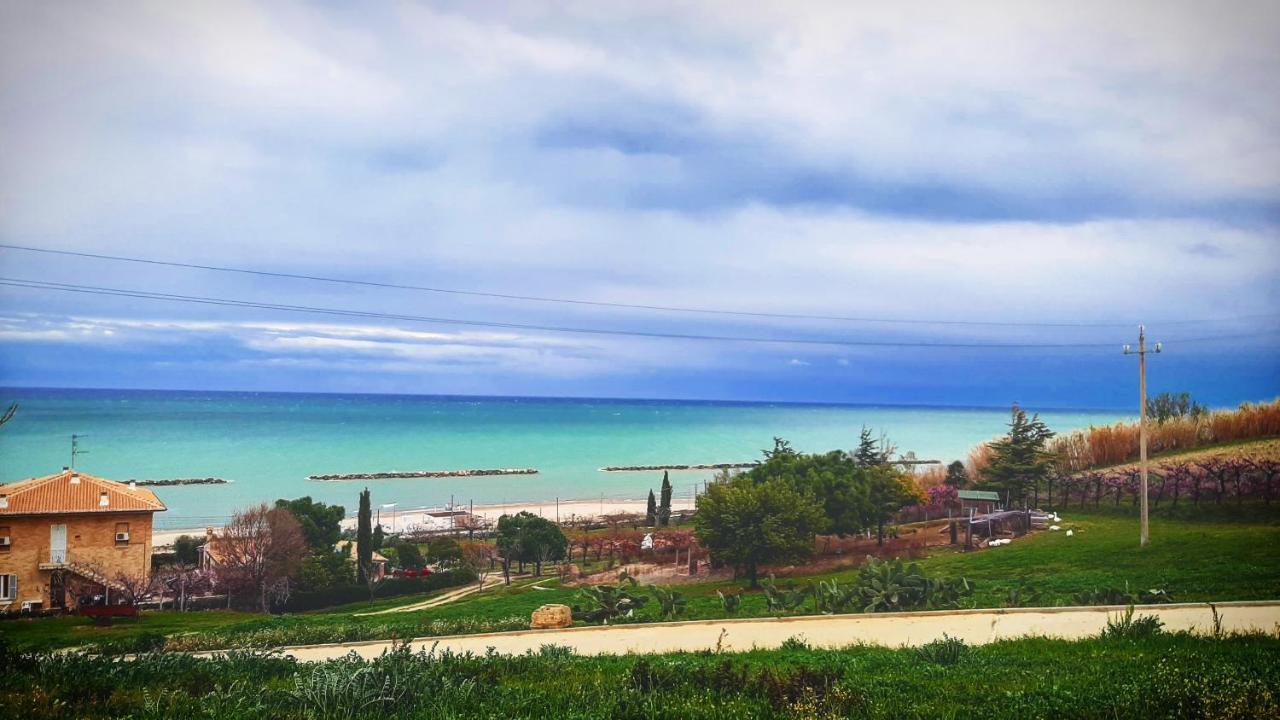 Bio Agriturismo Mare In Campagna Campofilone 외부 사진