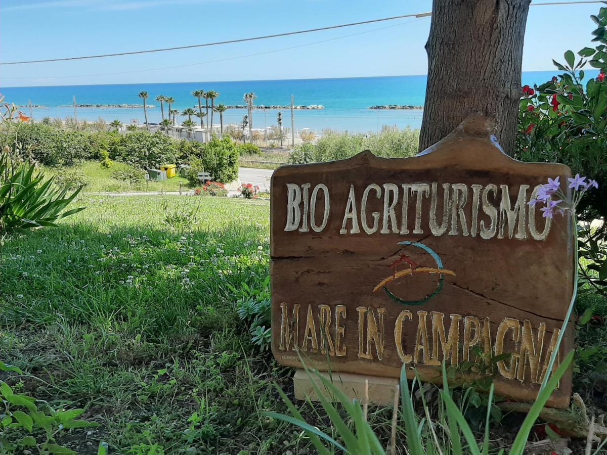 Bio Agriturismo Mare In Campagna Campofilone 외부 사진