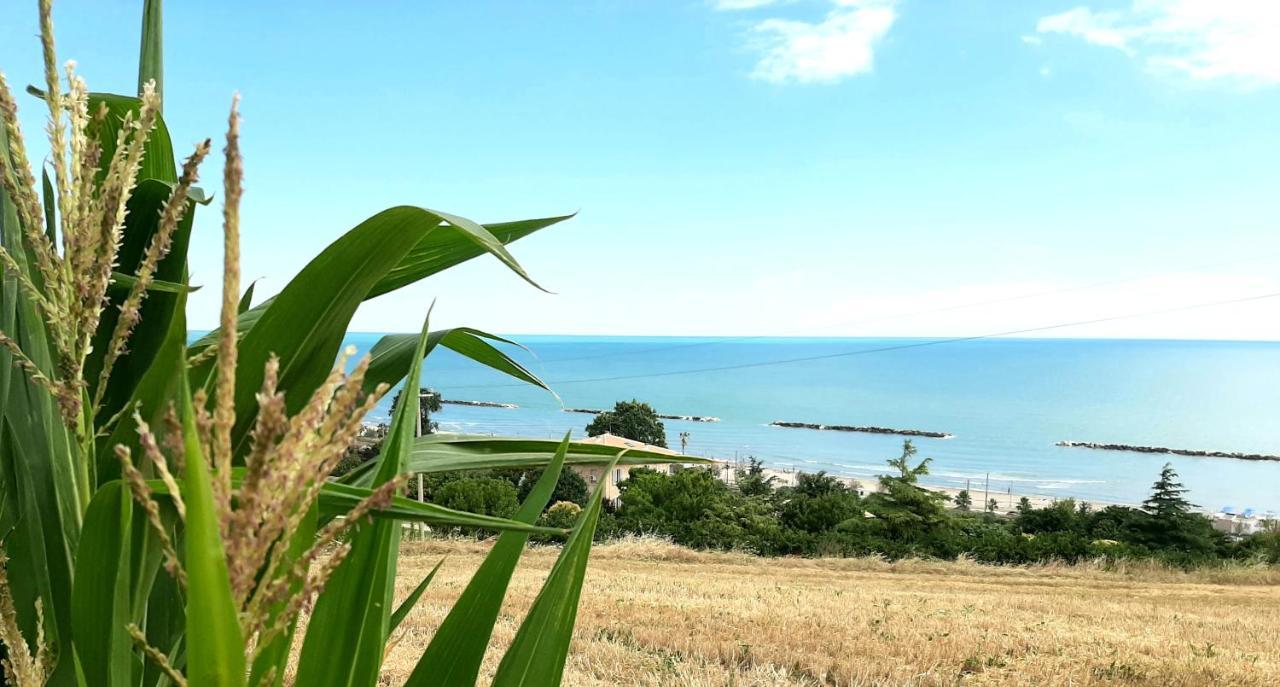 Bio Agriturismo Mare In Campagna Campofilone 외부 사진