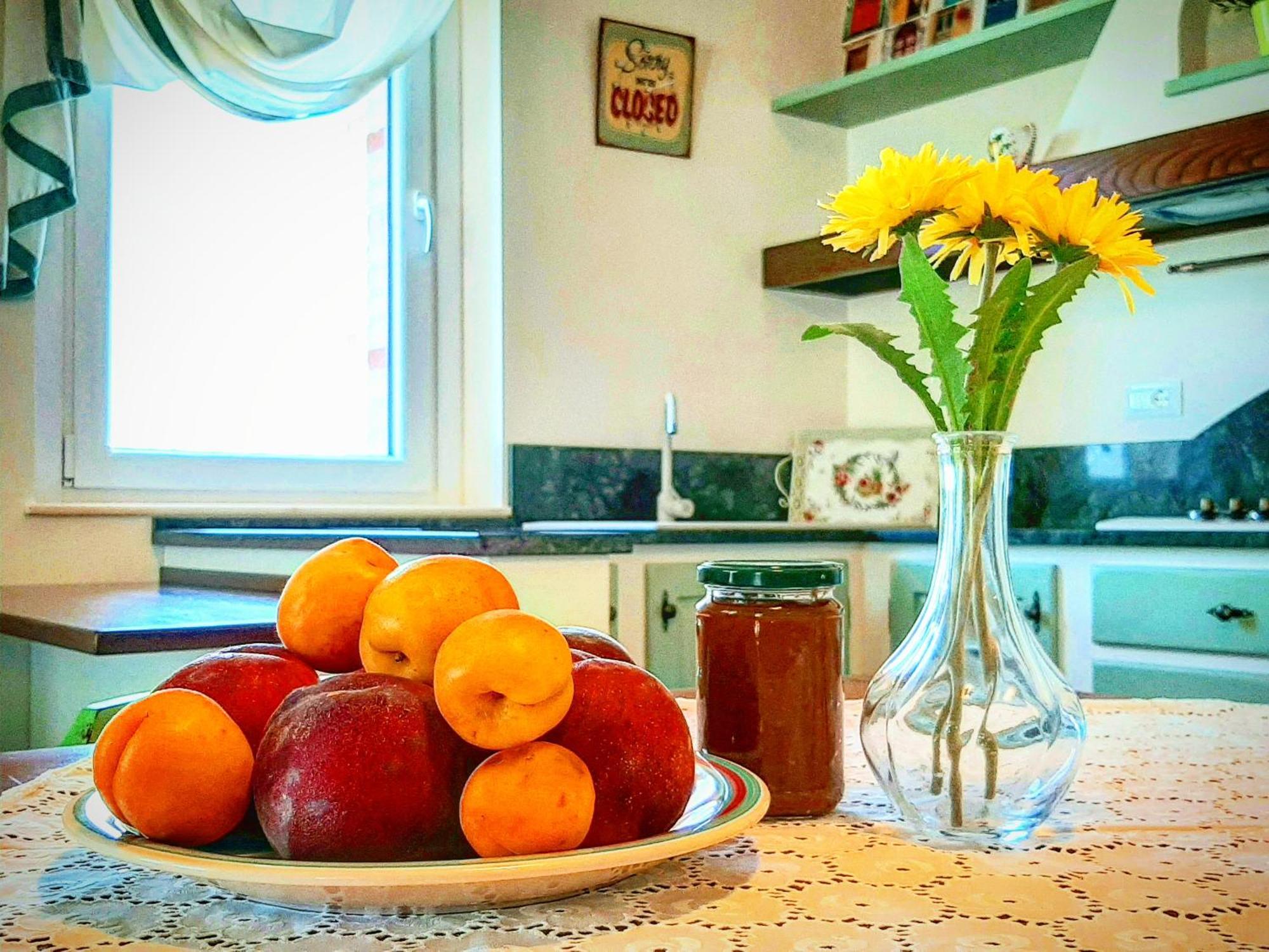 Bio Agriturismo Mare In Campagna Campofilone 외부 사진